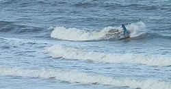 141008pm-eagle (4).jpg